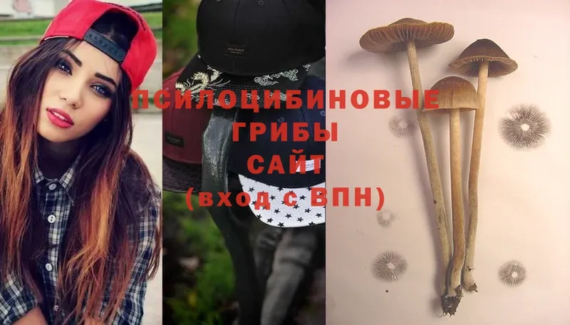 цена наркотик  Большой Камень  Псилоцибиновые грибы Cubensis 